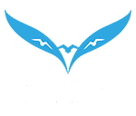 深圳淩誼視覺科技有限公司